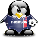 Penguin pingouin pinguino 746
